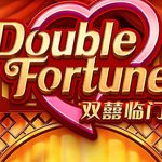 How to play Double Fortune slot game